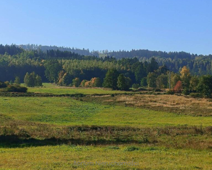 Działka Sprzedaż Trzebieszowice