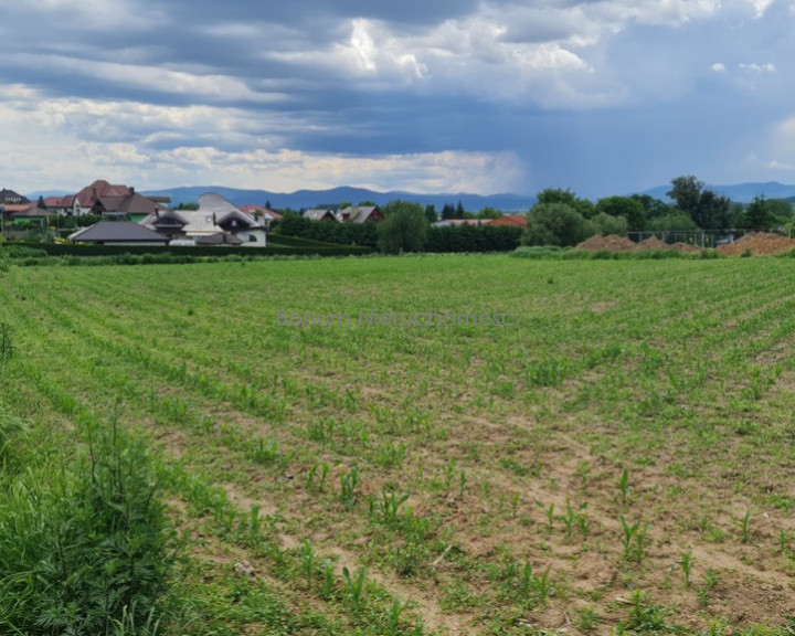 Działka Sprzedaż Ząbkowice Śląskie