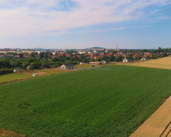 Działka Sprzedaż Ząbkowice Śląskie