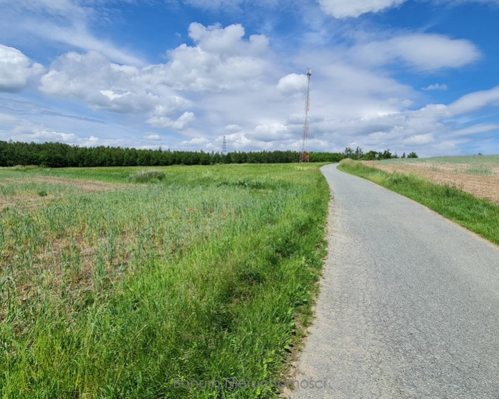 Działka Sprzedaż Dębowina