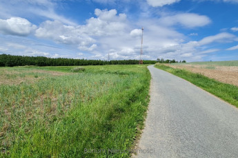 Działka Sprzedaż Dębowina